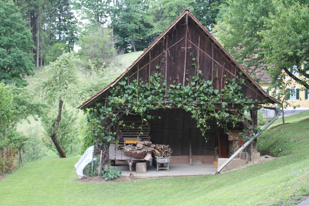 Buchschneider - Ferienhaus Maier - Landhof Schwarzautal Esterno foto