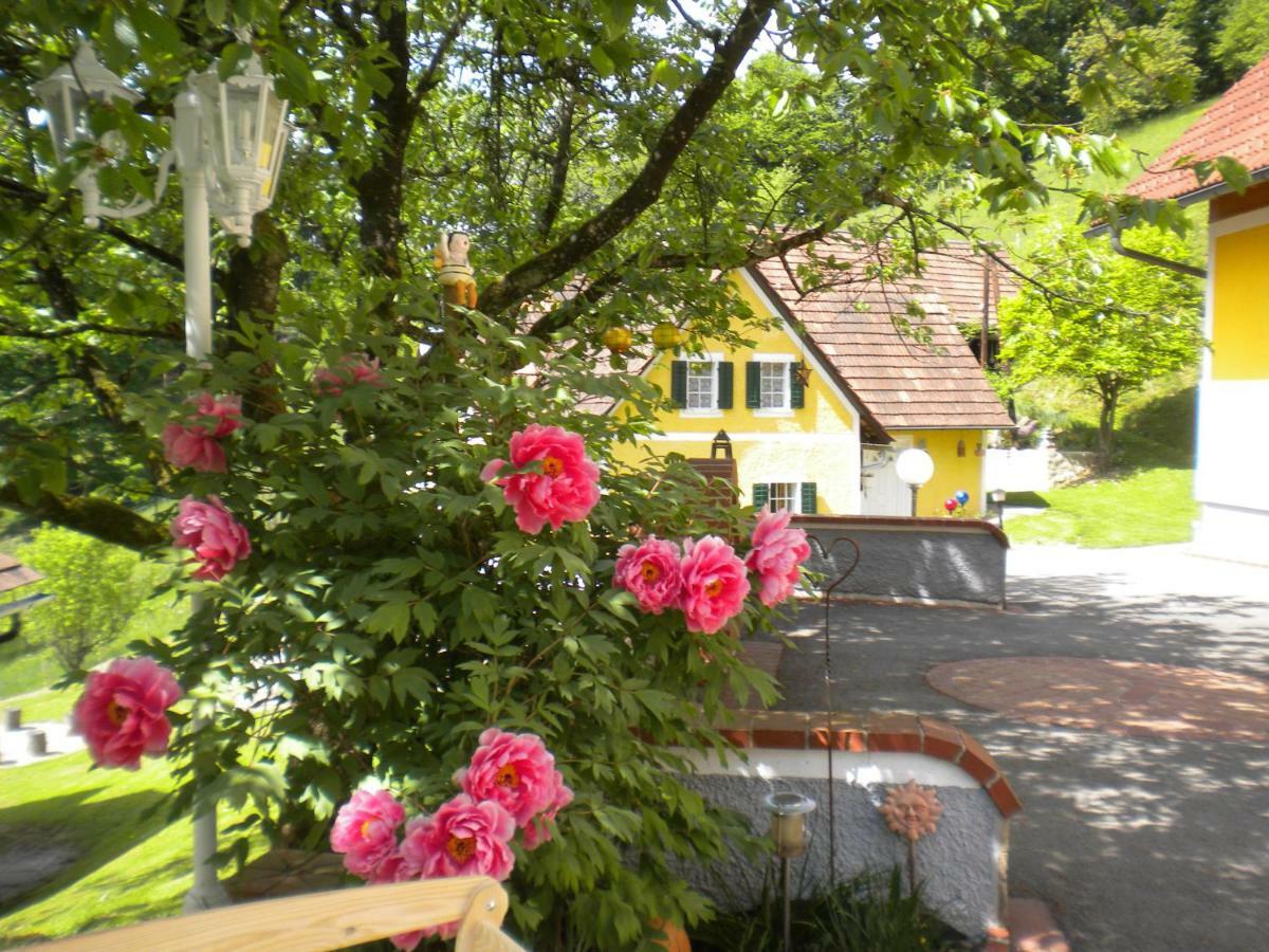Buchschneider - Ferienhaus Maier - Landhof Schwarzautal Esterno foto