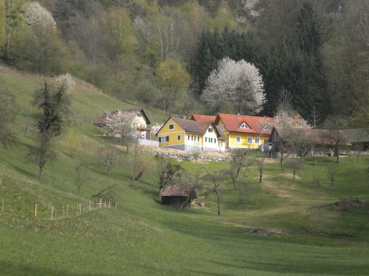 Buchschneider - Ferienhaus Maier - Landhof Schwarzautal Esterno foto