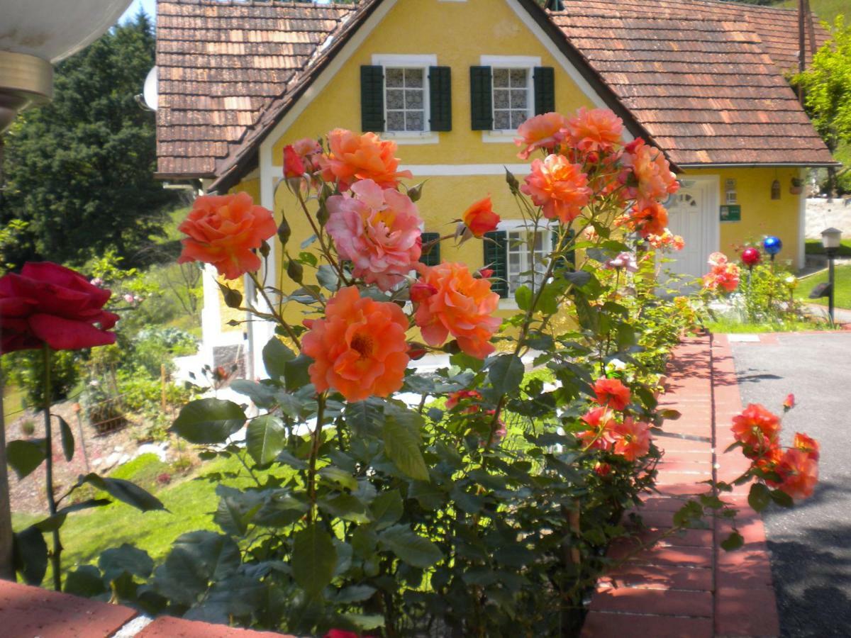 Buchschneider - Ferienhaus Maier - Landhof Schwarzautal Esterno foto