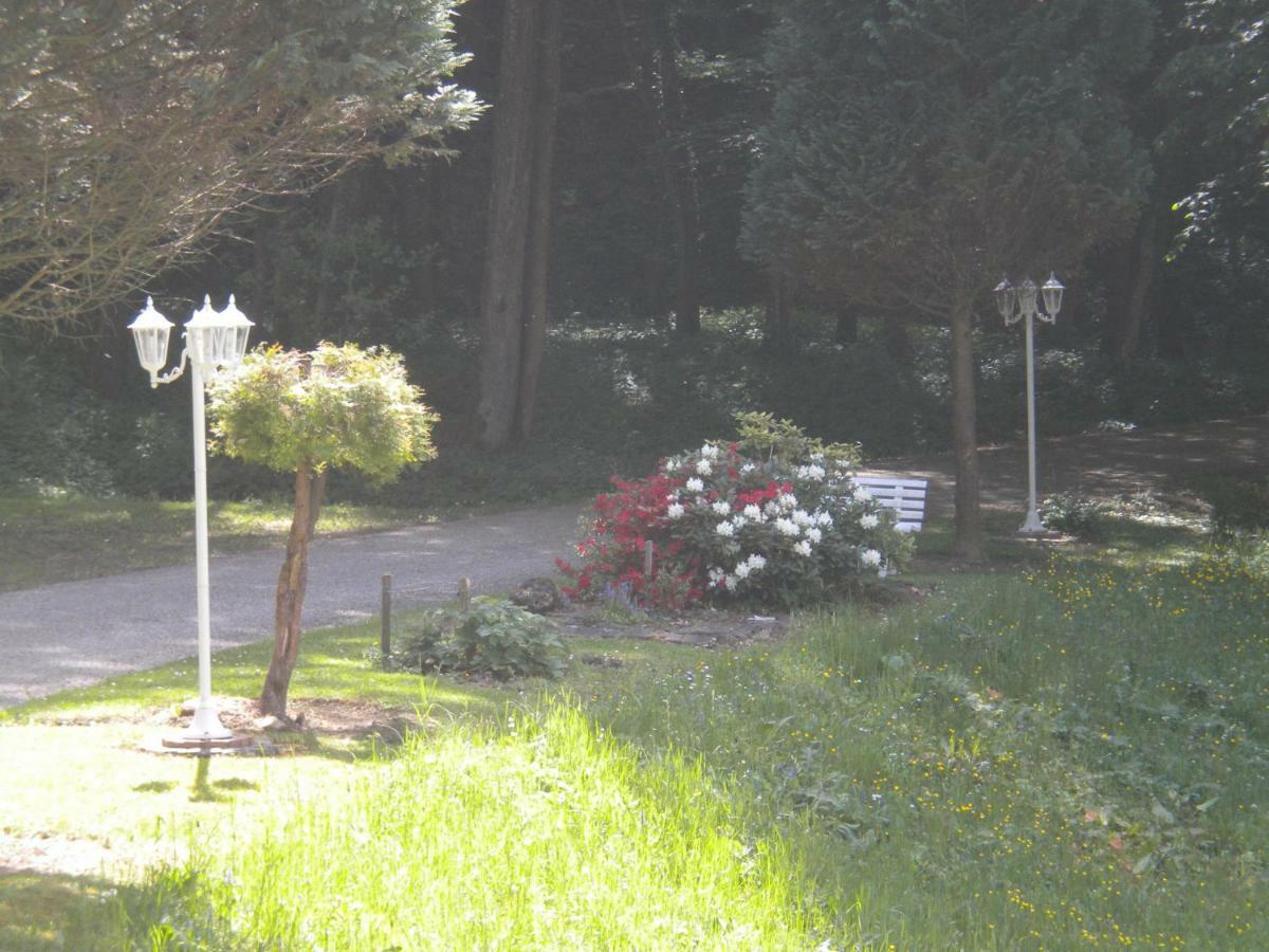 Buchschneider - Ferienhaus Maier - Landhof Schwarzautal Esterno foto
